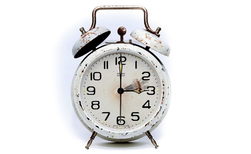 Time-Shift Safari
